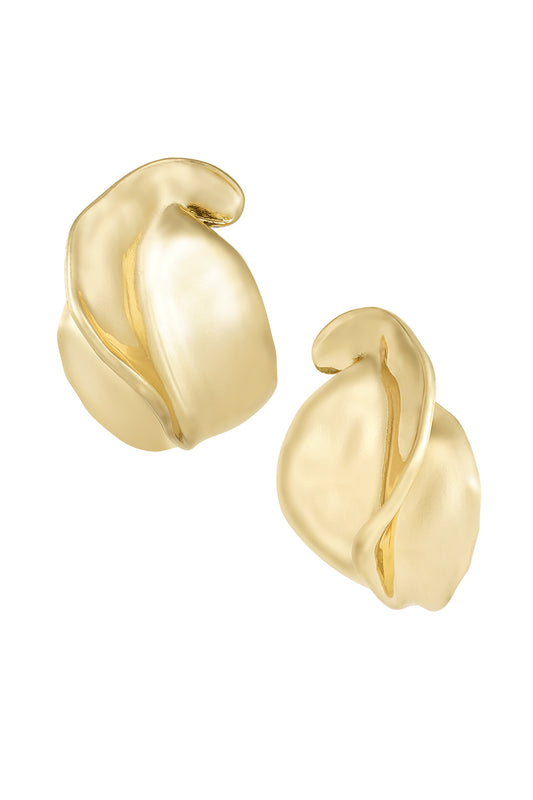 Boucles d'oreilles beauté raffinée